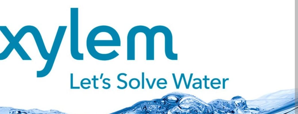 Xylem